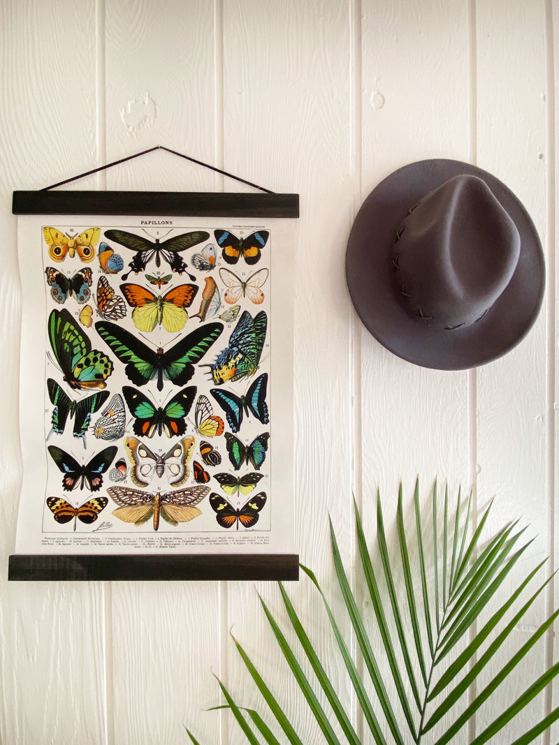 Vintage Butterfly Chart